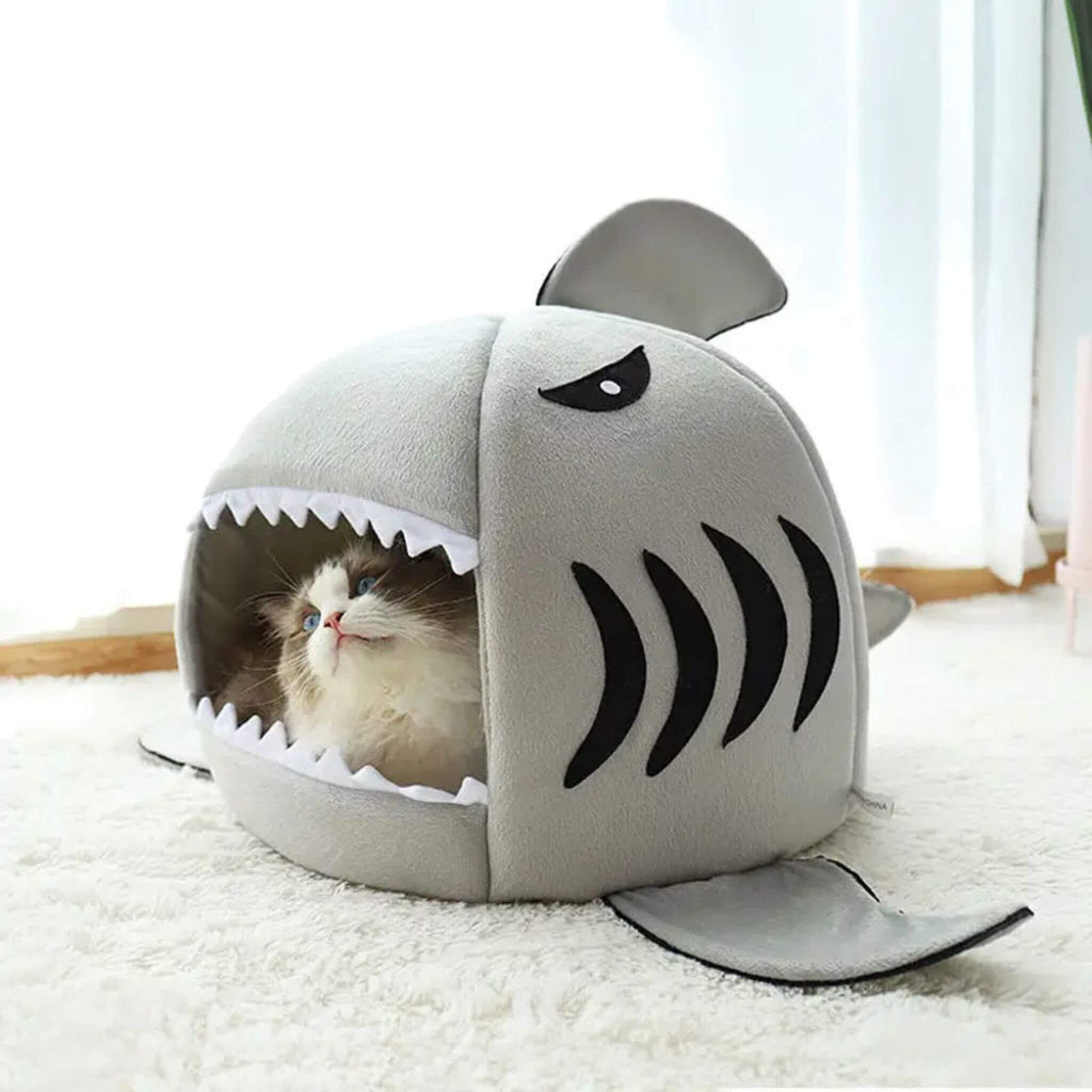 niche chat | Sharknook