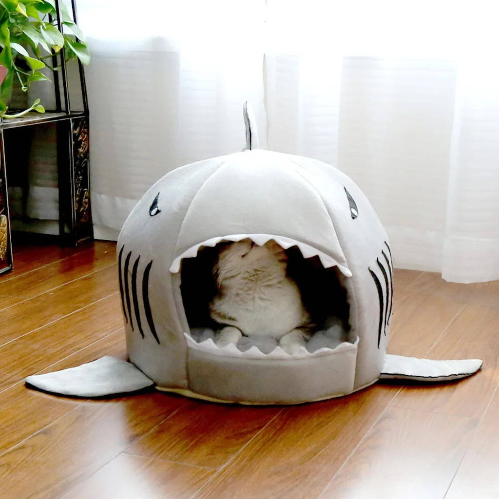 niche chat | Sharknook