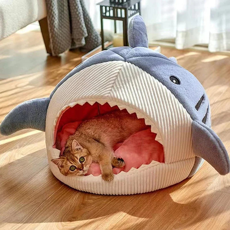 niche chat | DODO SHARK