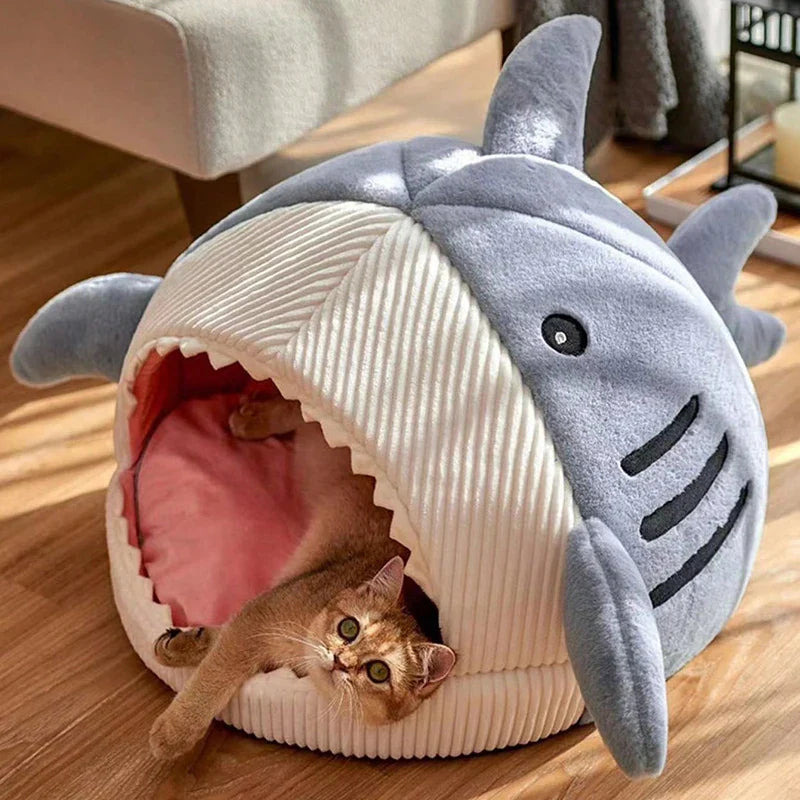 niche chat | DODO SHARK