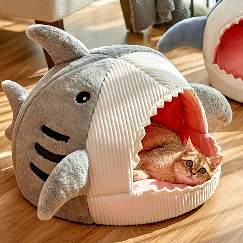 niche chat | DODO SHARK