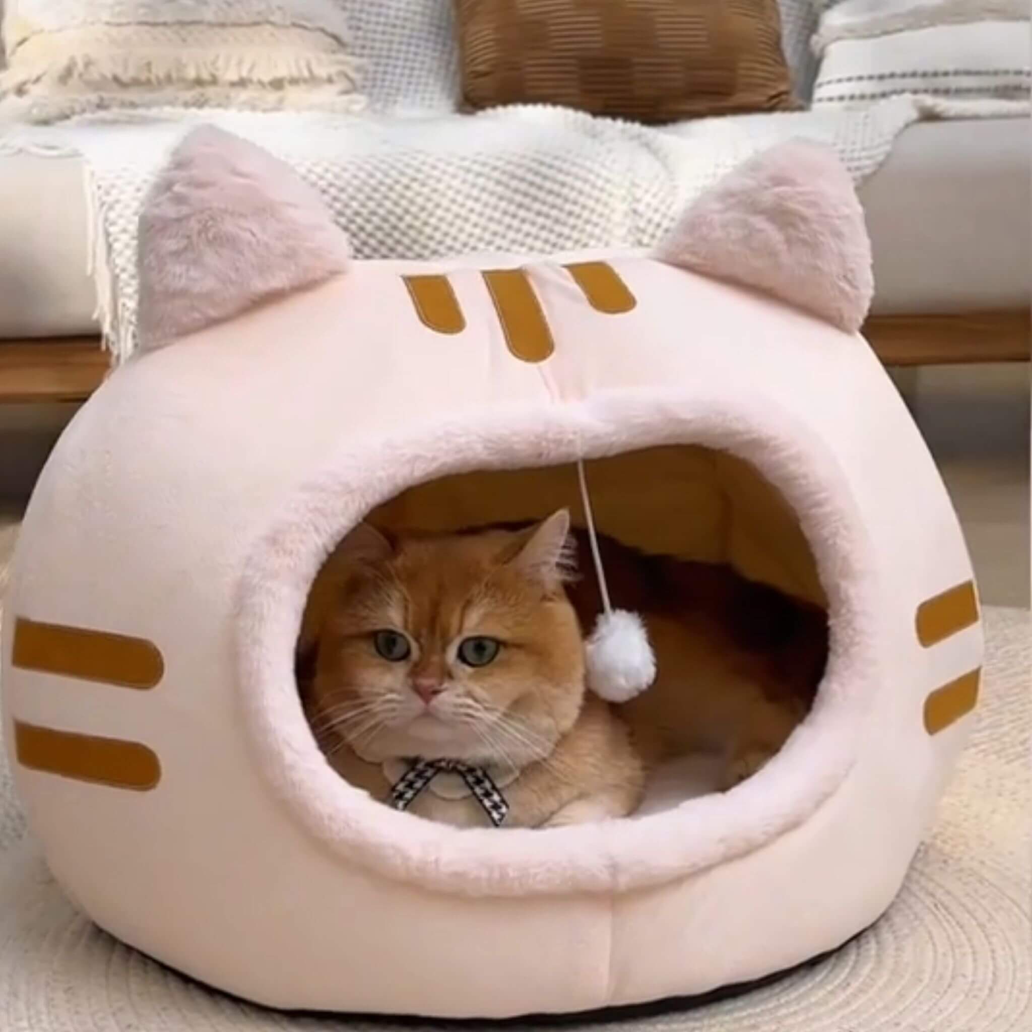 Niche chat | La Cachette des Curieux