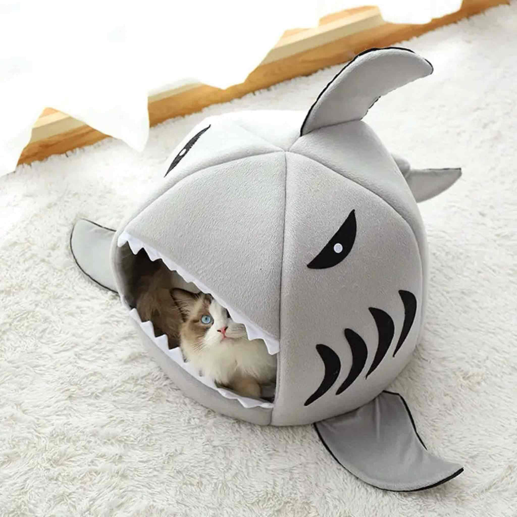 niche chat | Sharknook