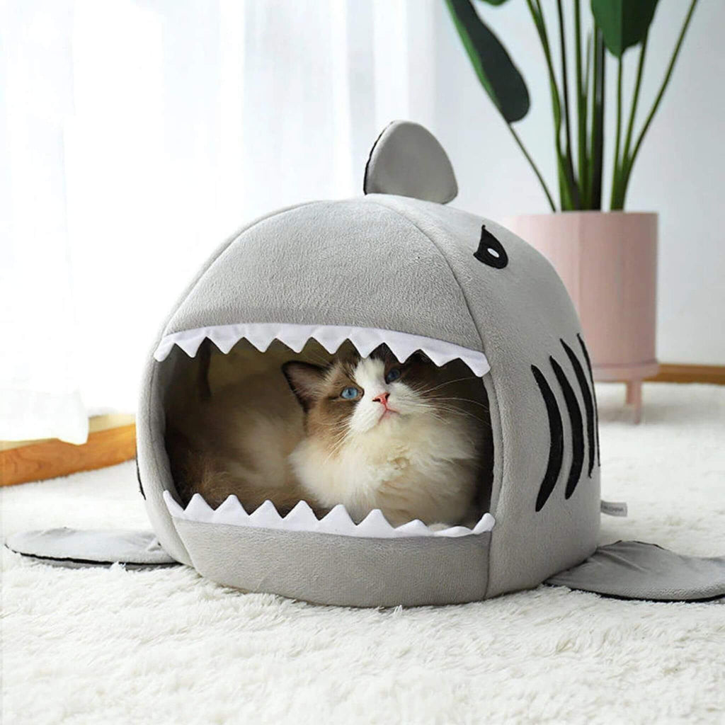 niche chat | Sharknook