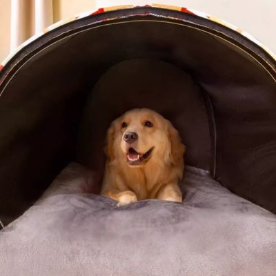 NICHE CHIEN INTERIEUR – CONFORT, STYLE ET TRANQUILLITÉ