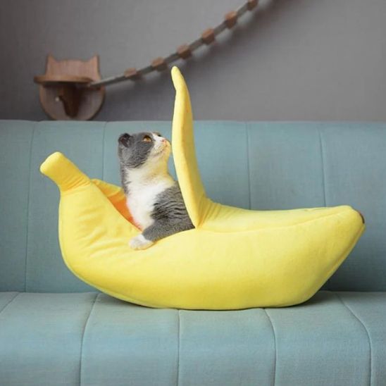 niche pour chat | CHABANANE