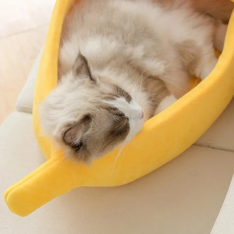niche pour chat | CHABANANE