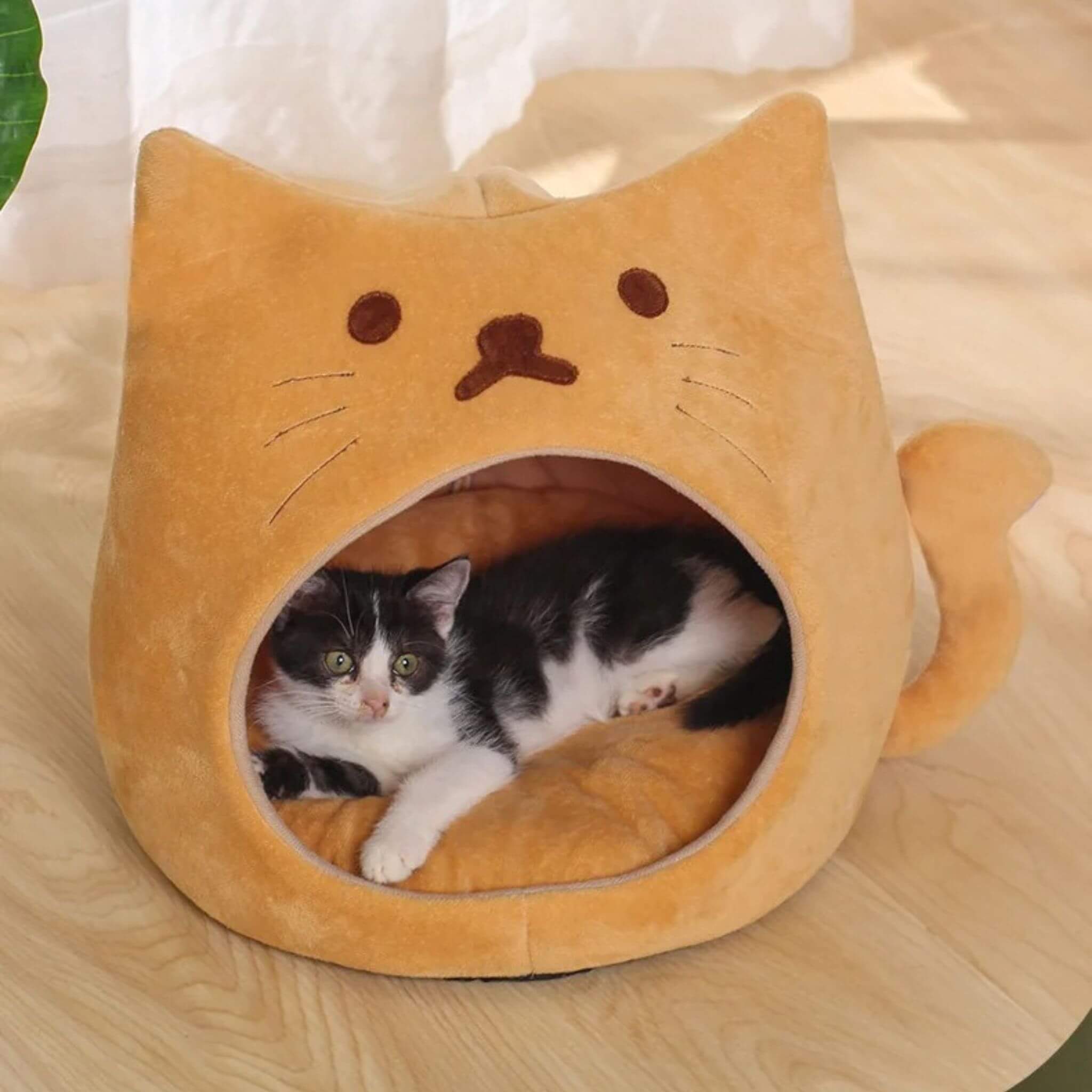 niche pour chaton | Câlinou