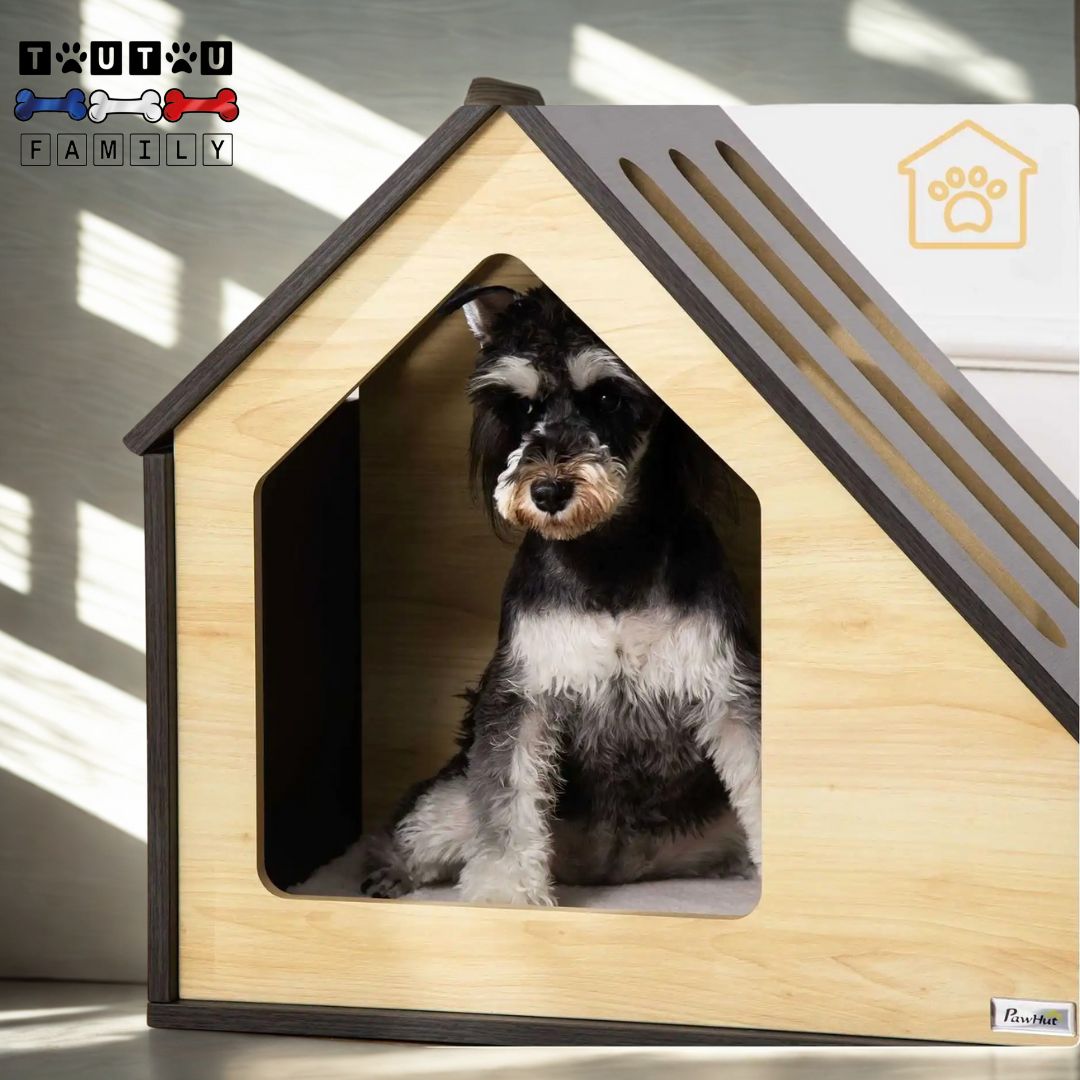 Niche pour chien intérieur design - BoisToutou™