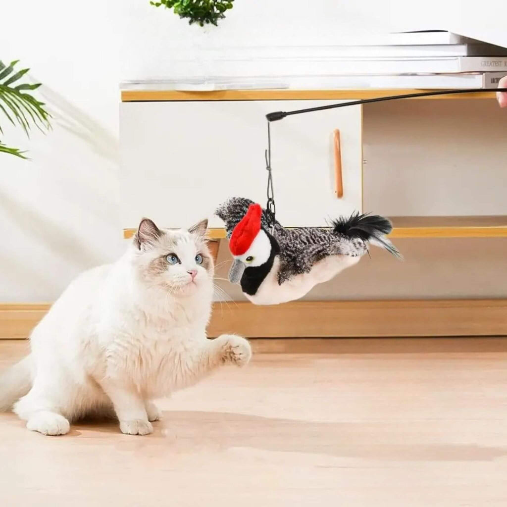 oiseau interactif pour chat | Pic’ à Jouer