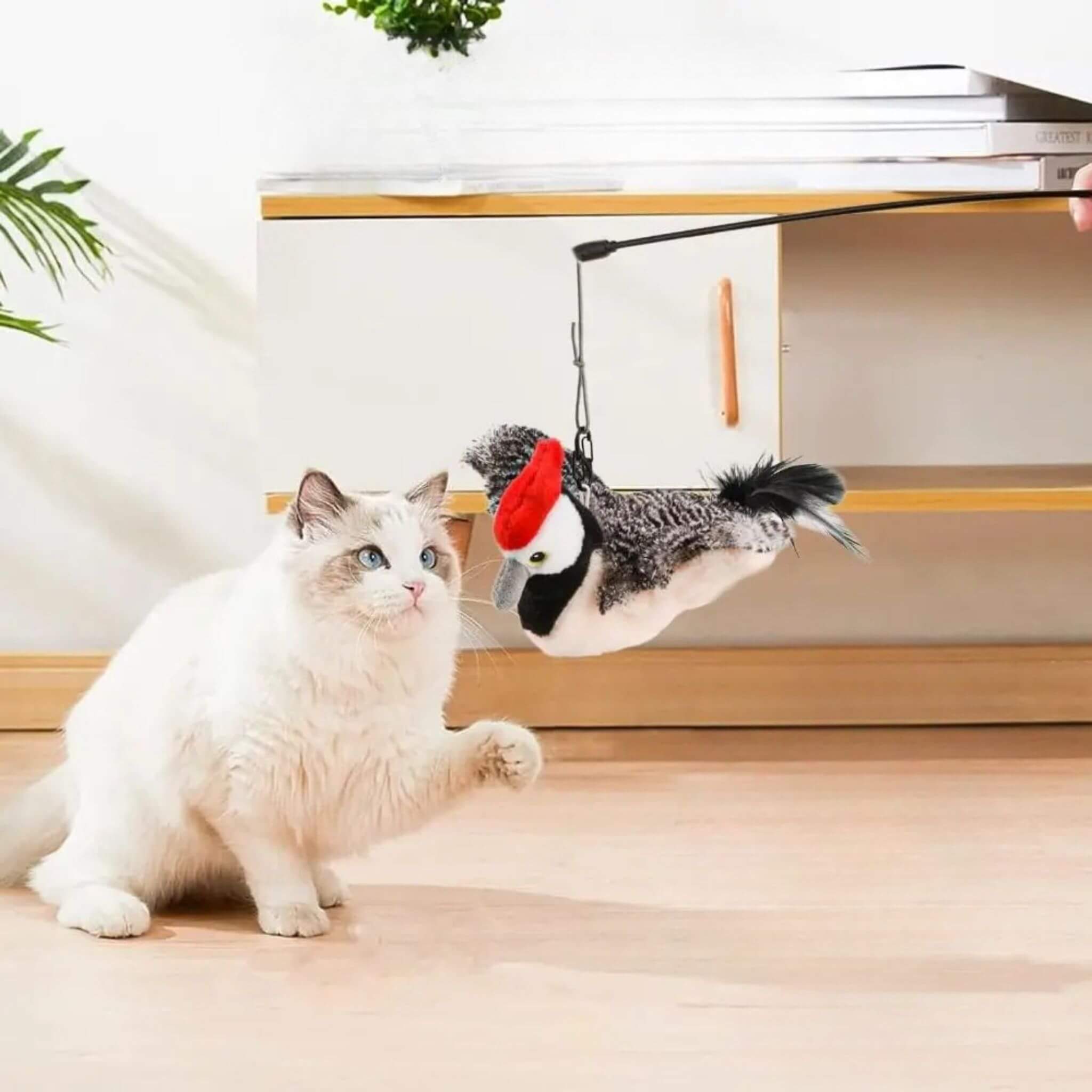 oiseau interactif pour chat | Pic’ à Jouer