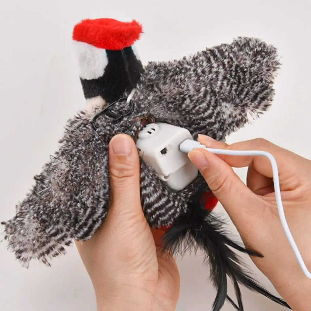 oiseau interactif pour chat | Pic’ à Jouer