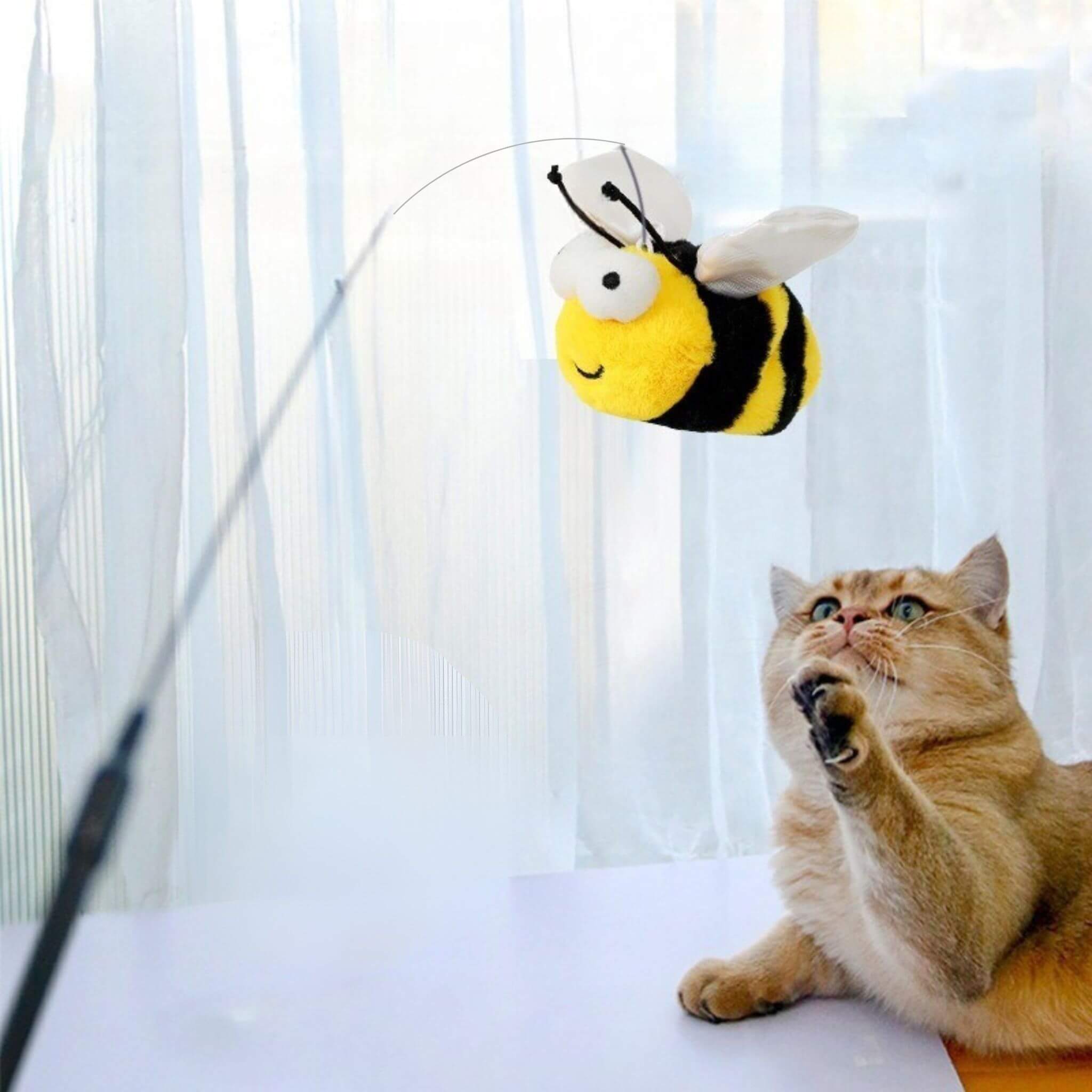 oiseau pour chat  | Abeille Volatile