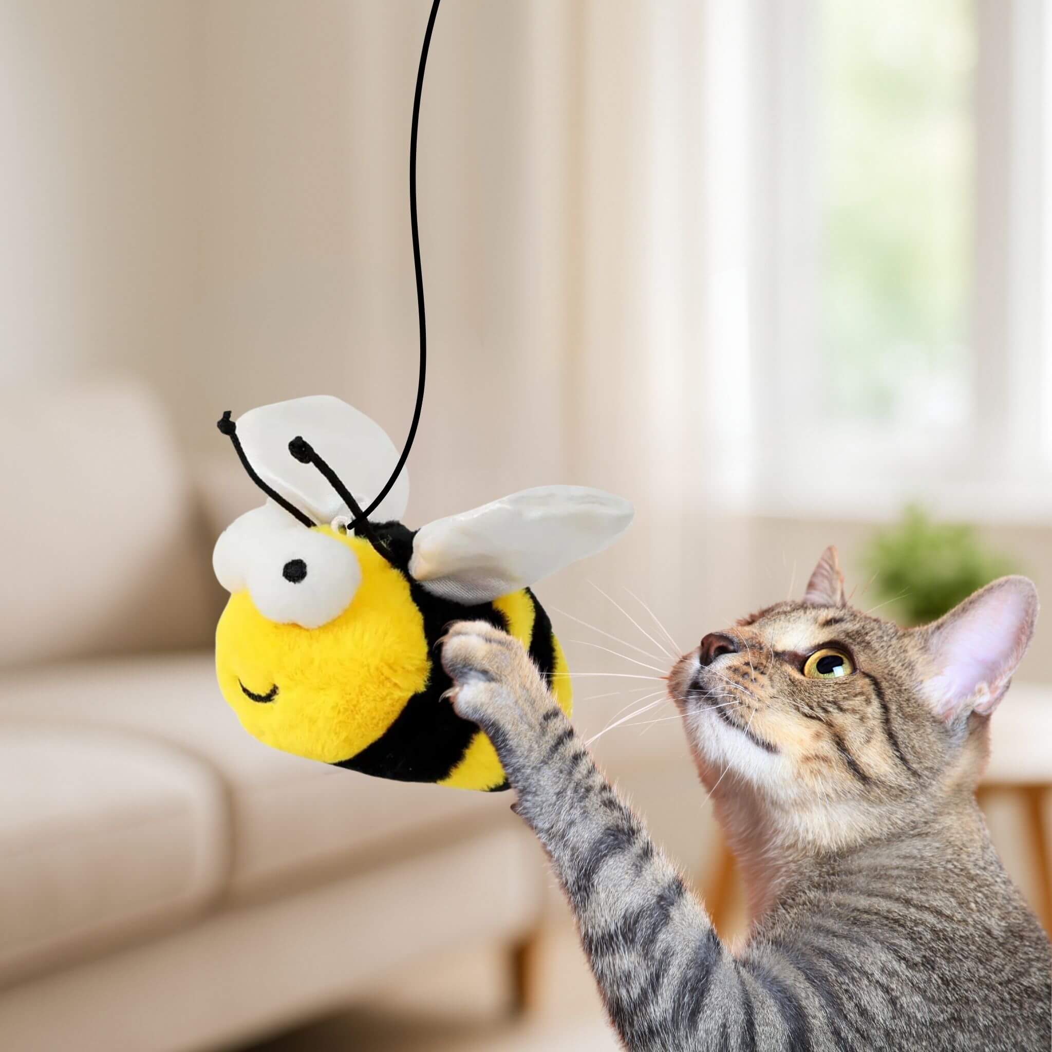 oiseau pour chat  | Abeille Volatile