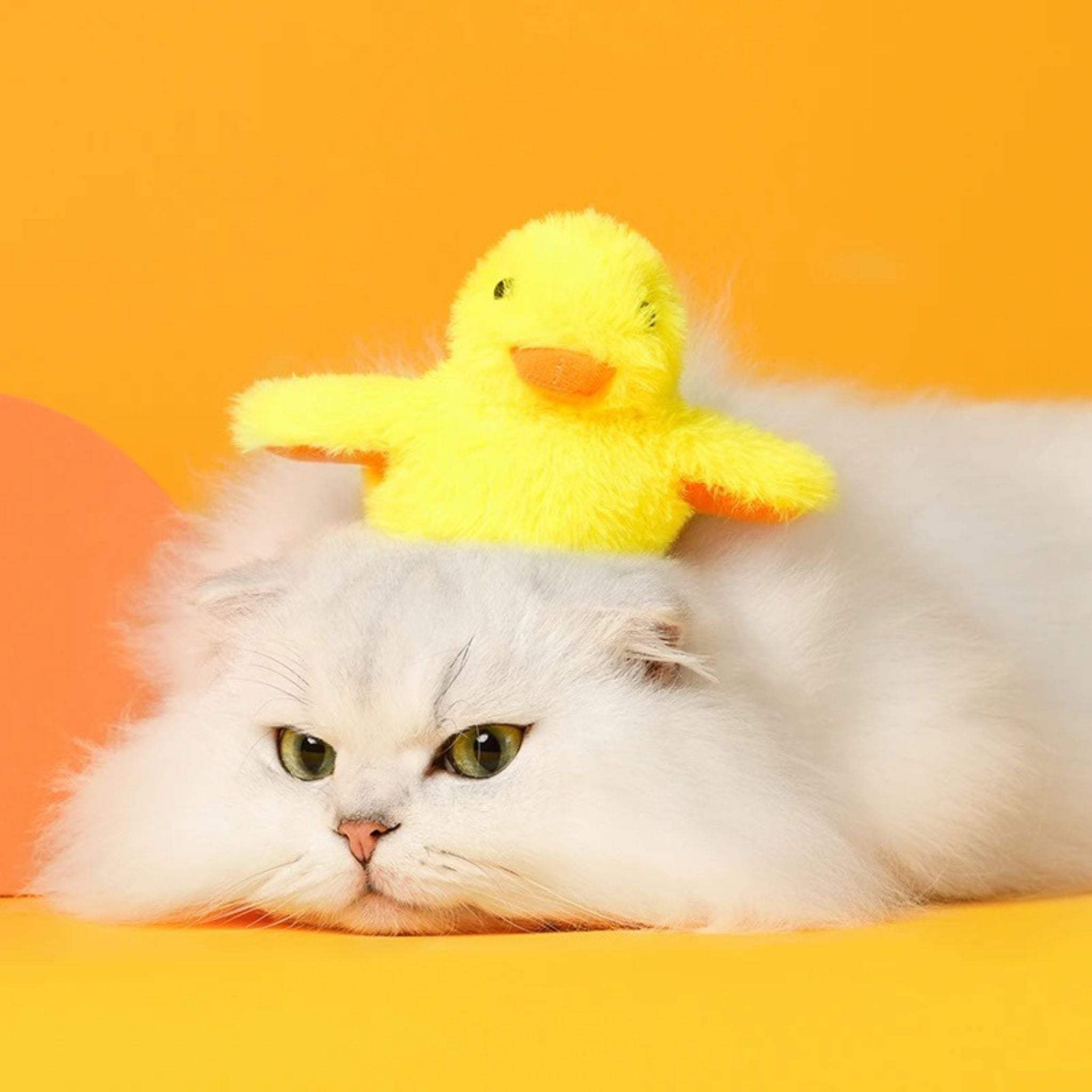 oiseau pour chat | JOUPOUSSIN