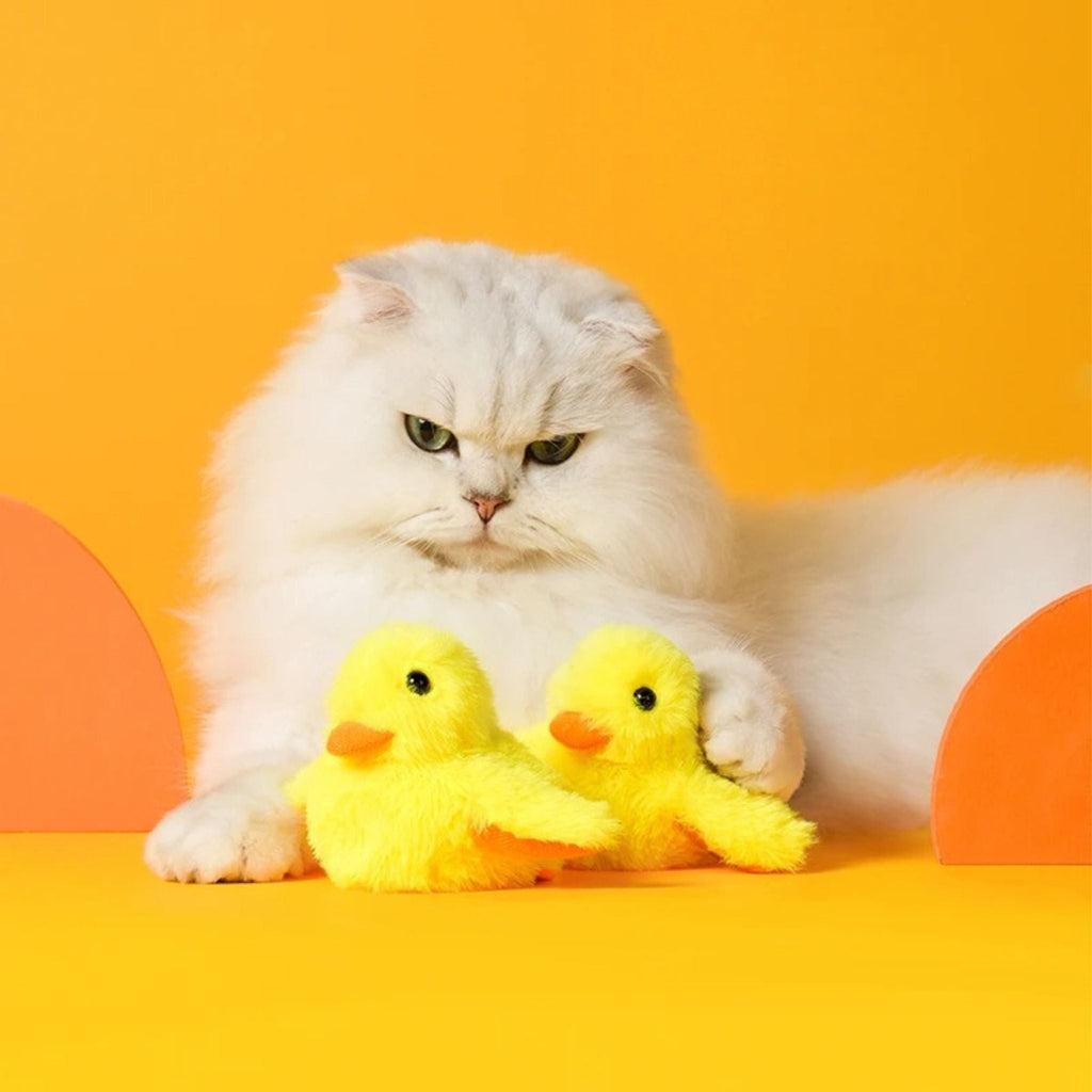 oiseau pour chat | JOUPOUSSIN