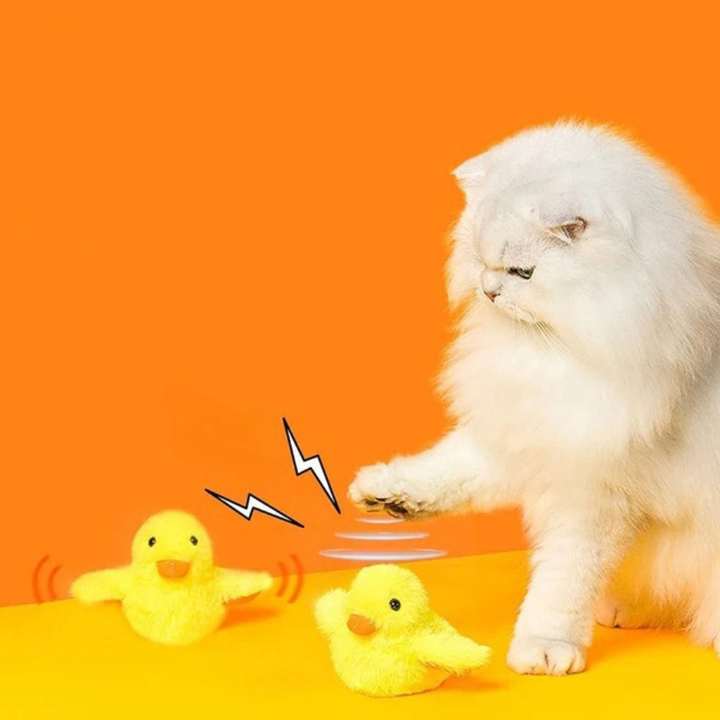 oiseau pour chat | JOUPOUSSIN