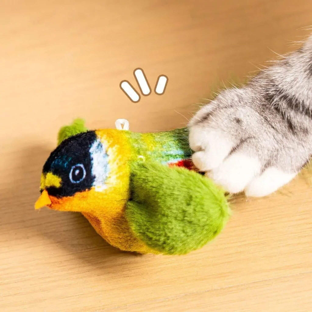 oiseau pour chat | Oiseau Taquin