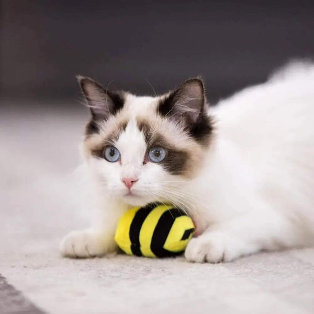 oiseau pour chat  | Abeille Volatile