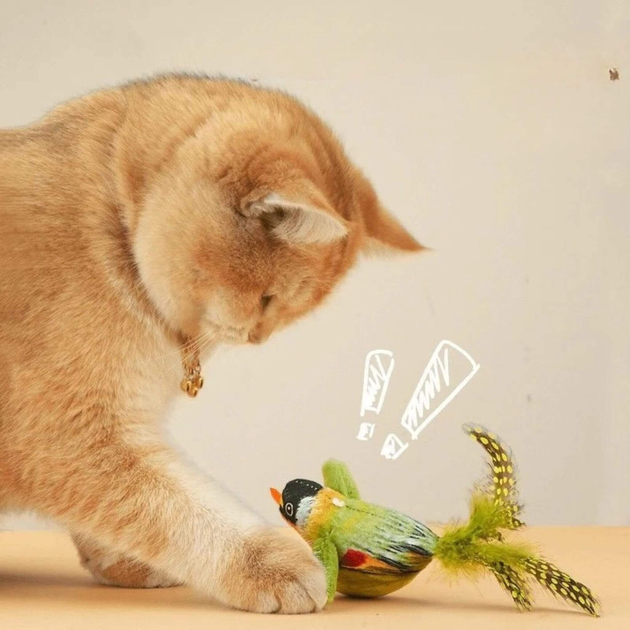 oiseau pour chat | Oiseau Taquin