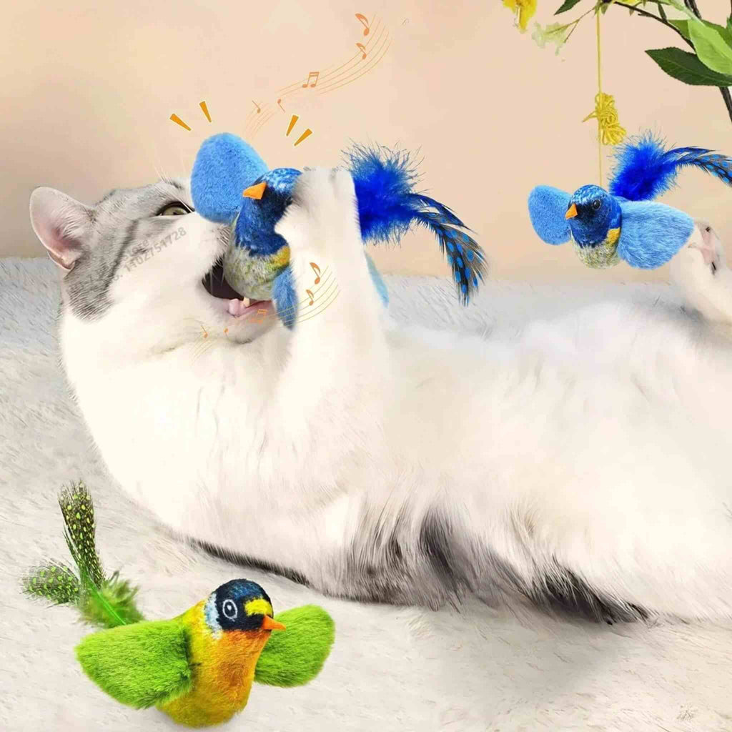 oiseau pour chat | Oiseau Taquin