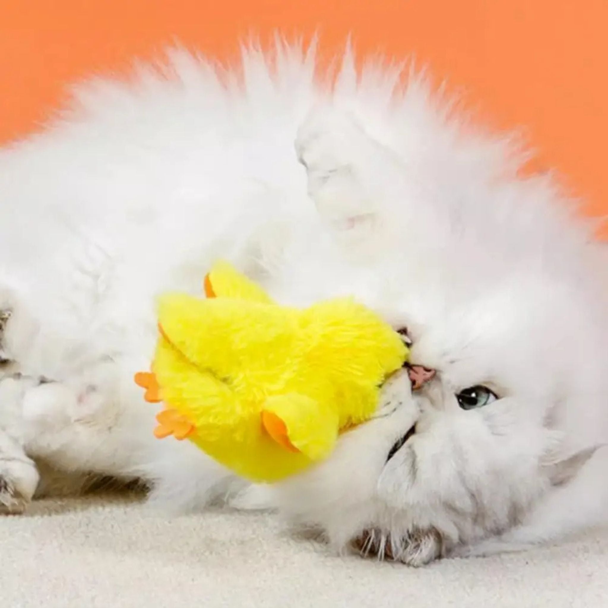 oiseau pour chat | JOUPOUSSIN