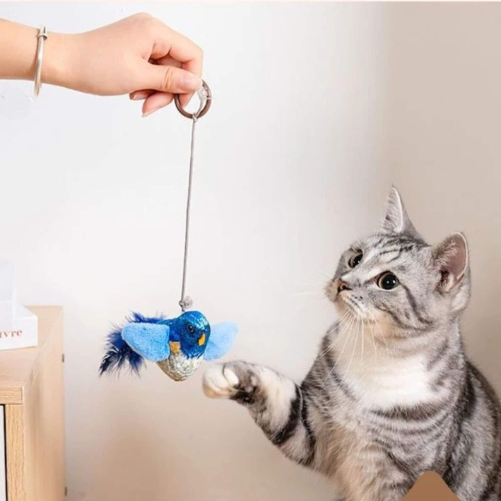 oiseau pour chat | Oiseau Taquin