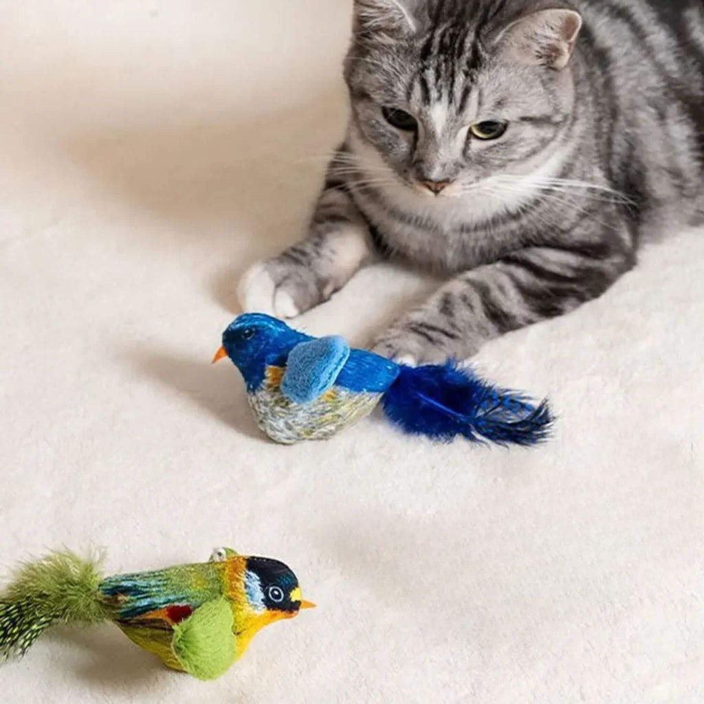 oiseau pour chat | Oiseau Taquin