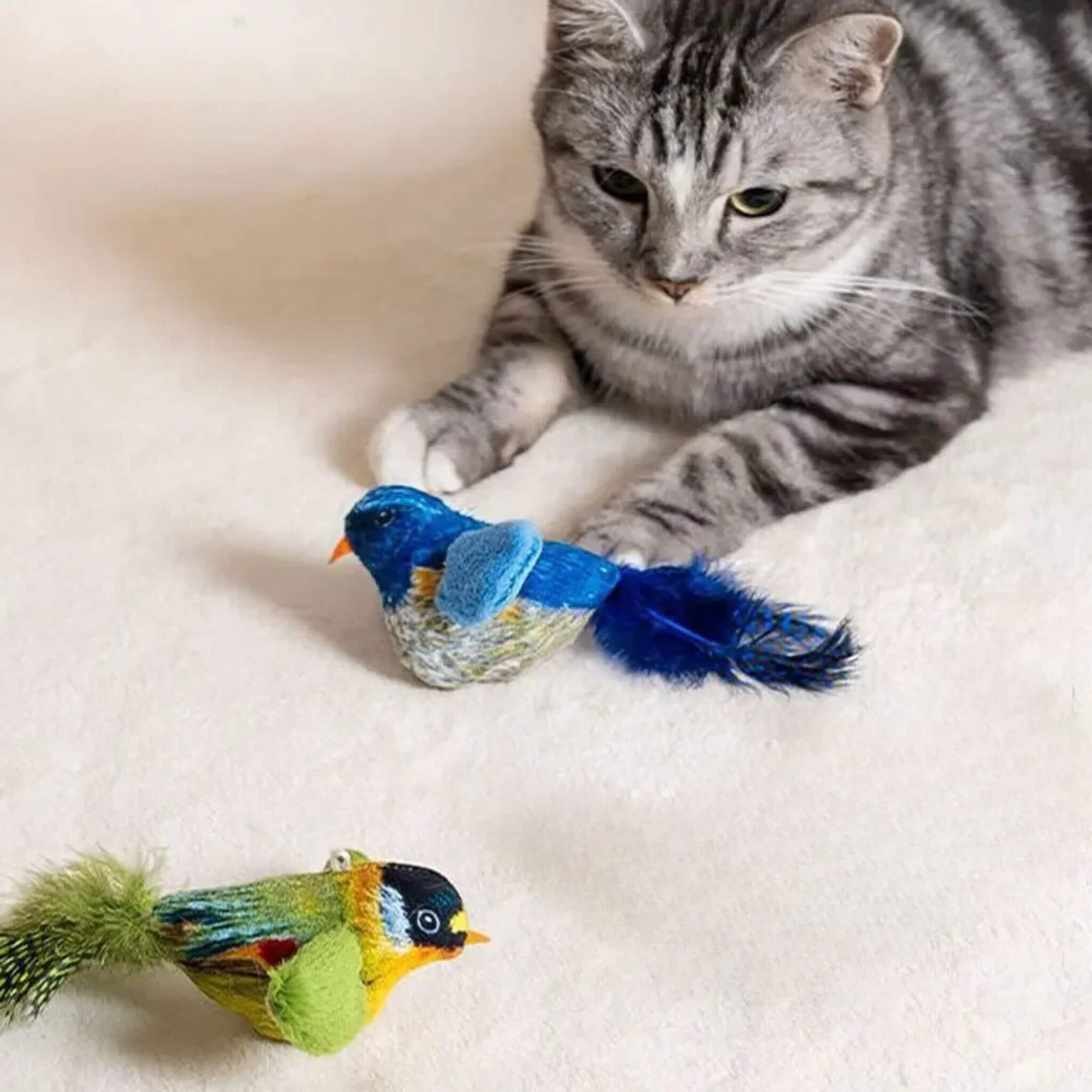 oiseau pour chat | Oiseau Taquin