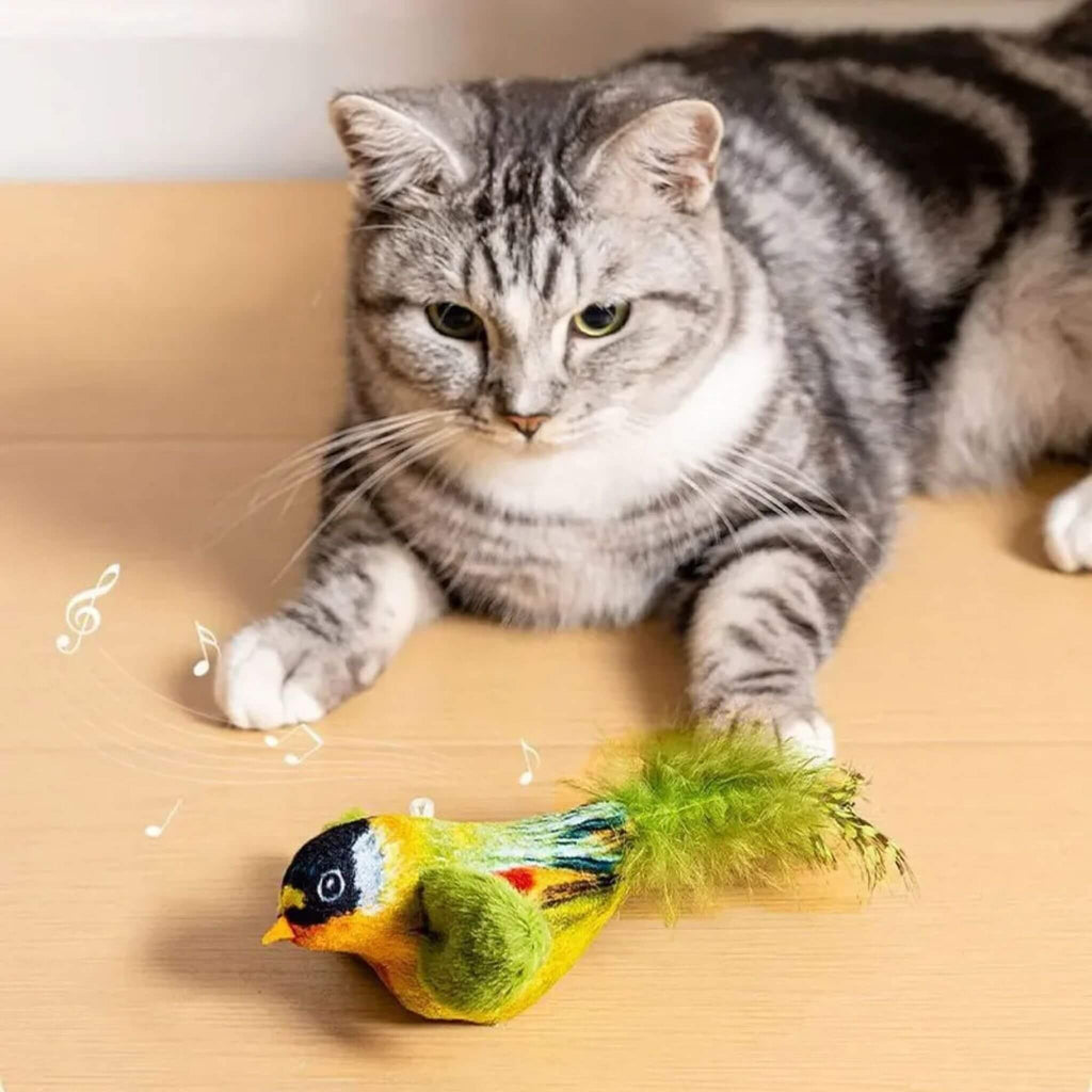oiseau pour chat | Oiseau Taquin