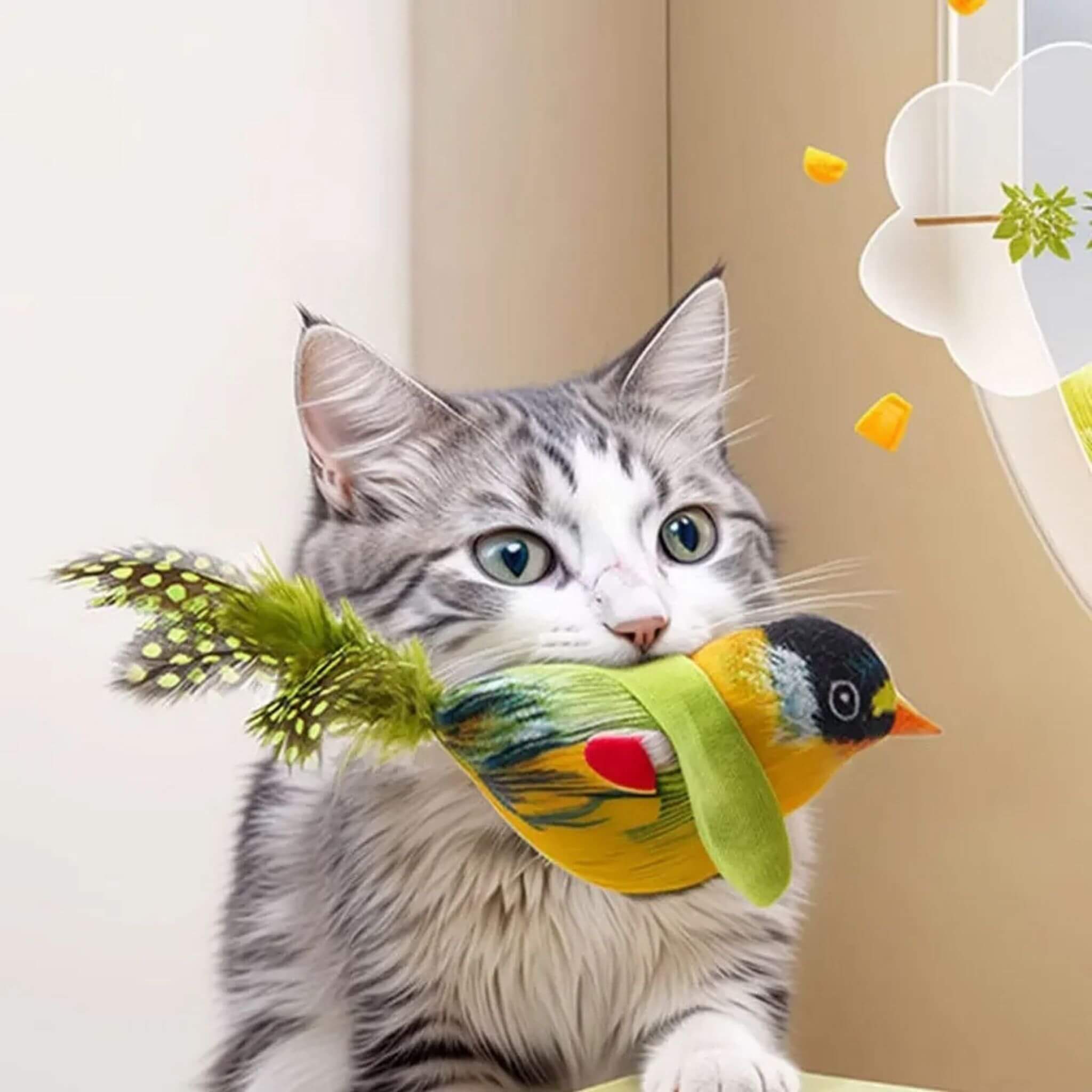 oiseau pour chat | Oiseau Taquin