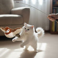 oiseau volant pour chat | Aile de plaisir