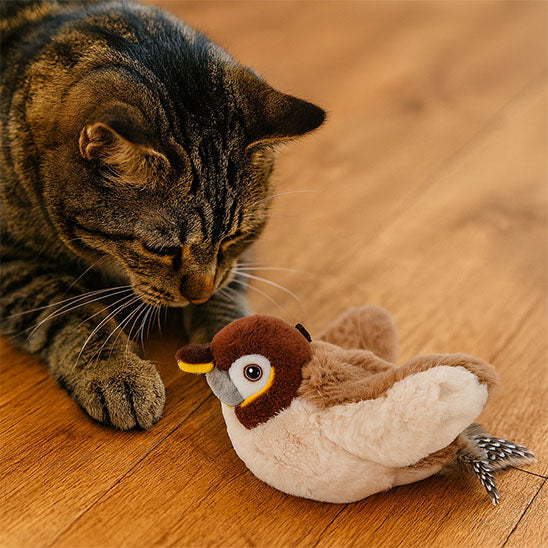 oiseau volant pour chat | Aile de plaisir