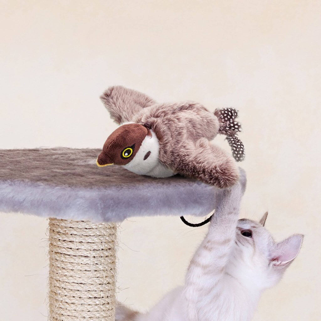oiseau volant pour chat | Aile de plaisir