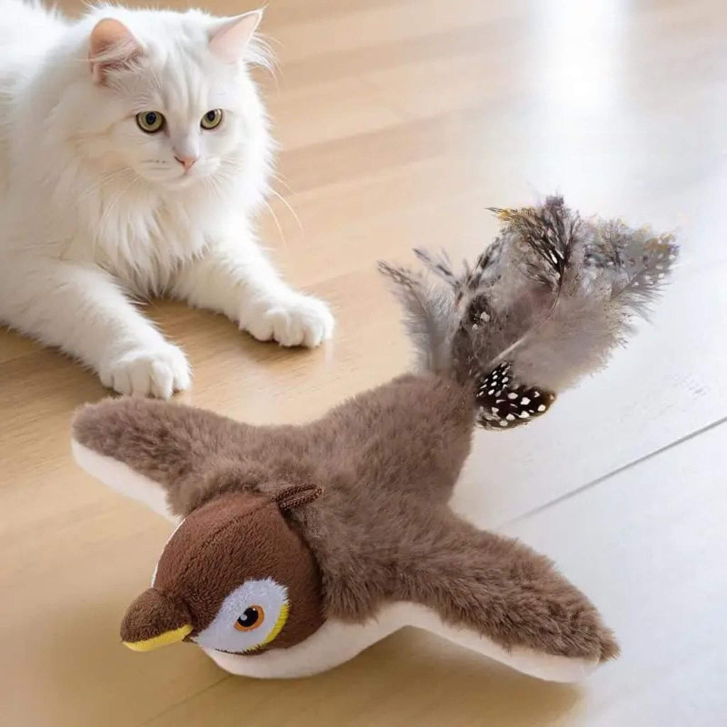 oiseau volant pour chat | Aile de plaisir