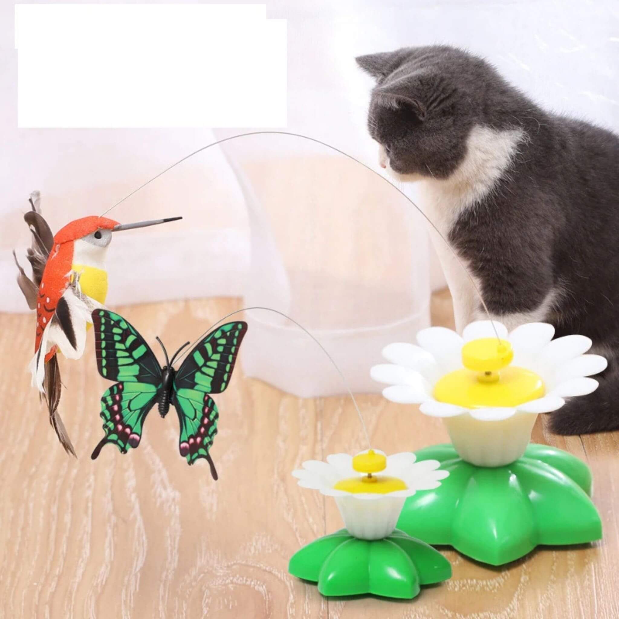 oiseau volant pour chat | Ballet d’Oiseau