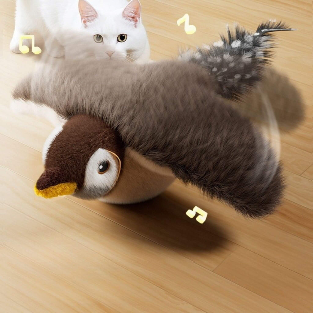 oiseau volant pour chat | Aile de plaisir