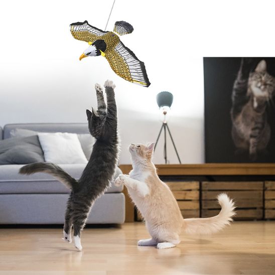 Oiseau Volant pour Chat | Prédateur Aérien