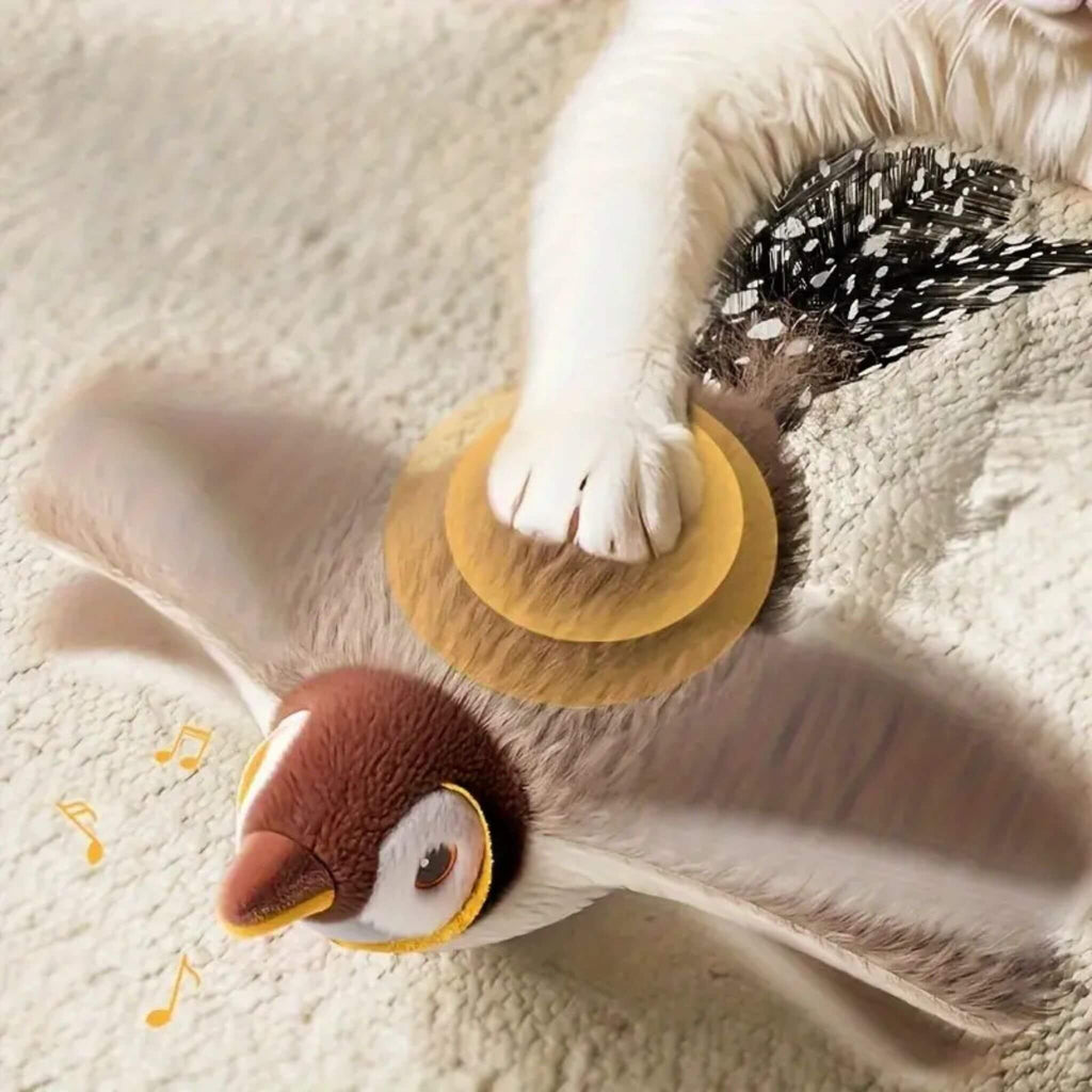 oiseau volant pour chat | Aile de plaisir