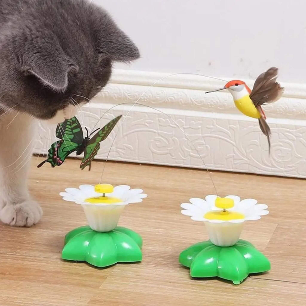 oiseau volant pour chat | Ballet d’Oiseau