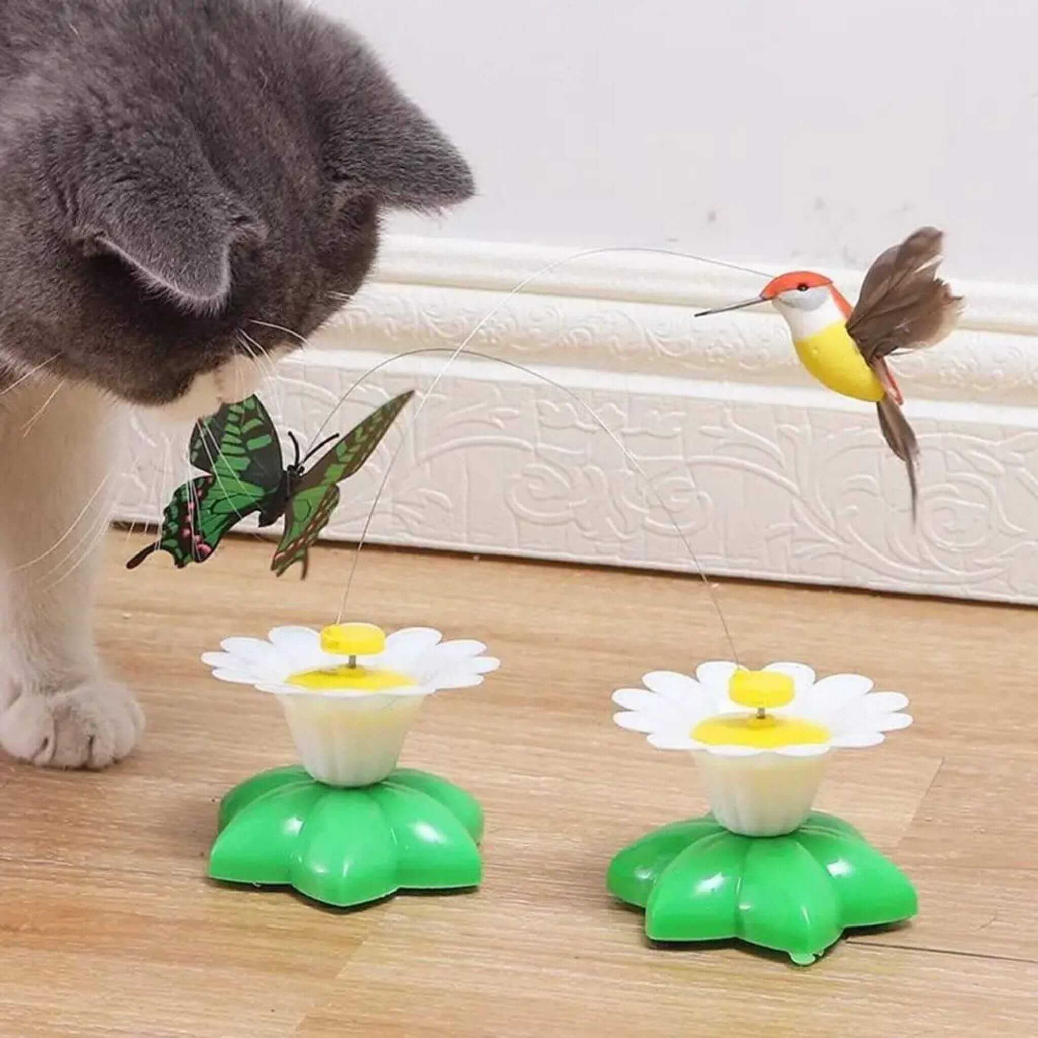 oiseau volant pour chat | Ballet d’Oiseau