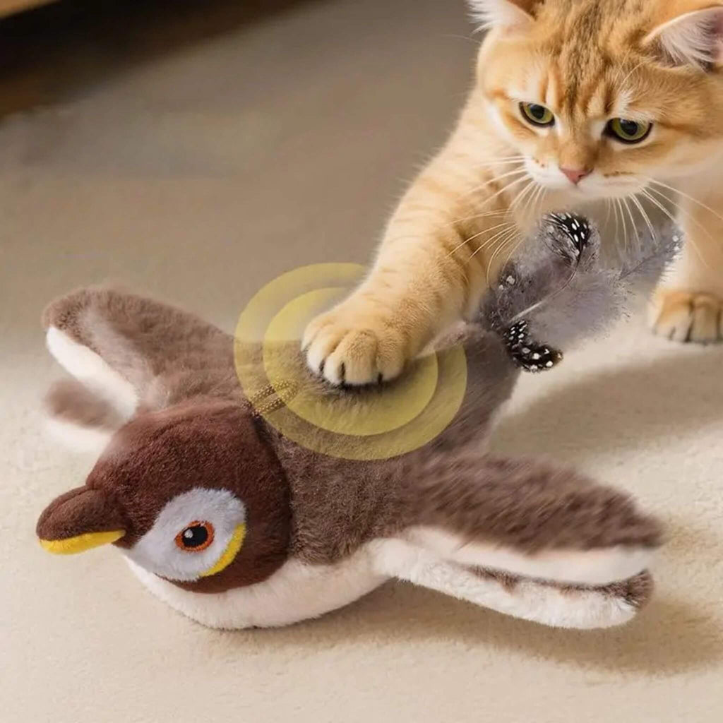 oiseau volant pour chat | Aile de plaisir