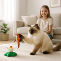 oiseau volant pour chat | Ballet d’Oiseau