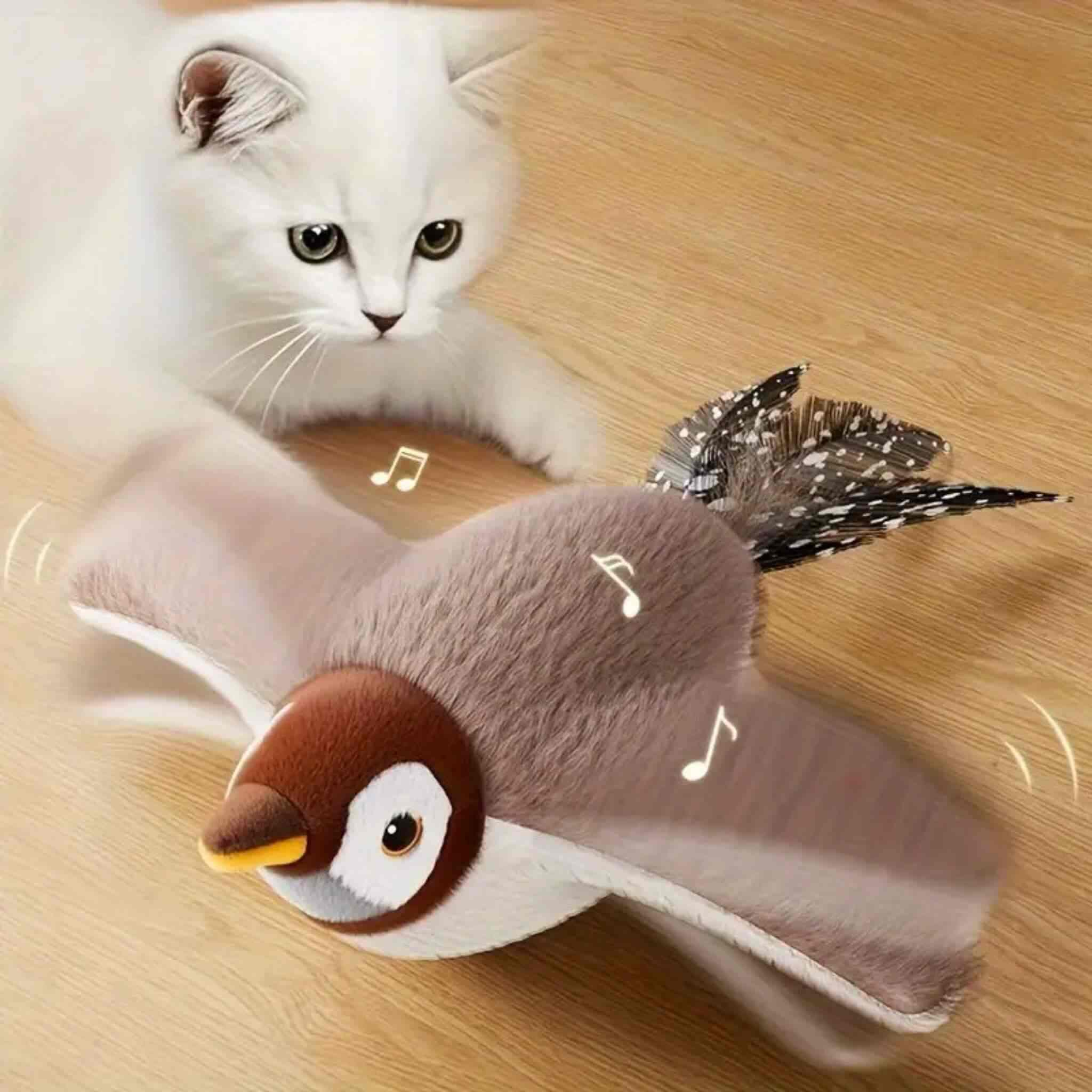 oiseau volant pour chat | Aile de plaisir