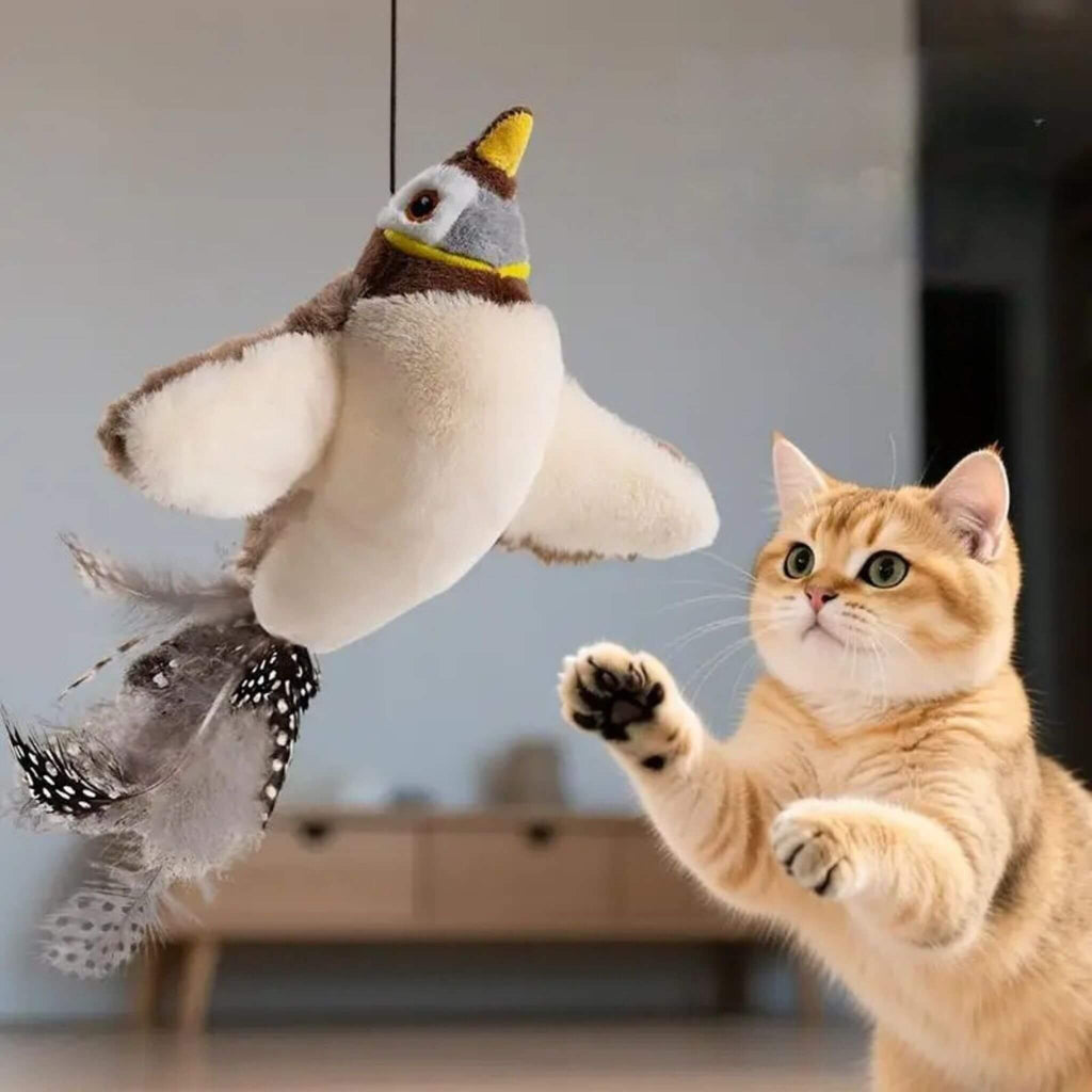 oiseau volant pour chat | Aile de plaisir