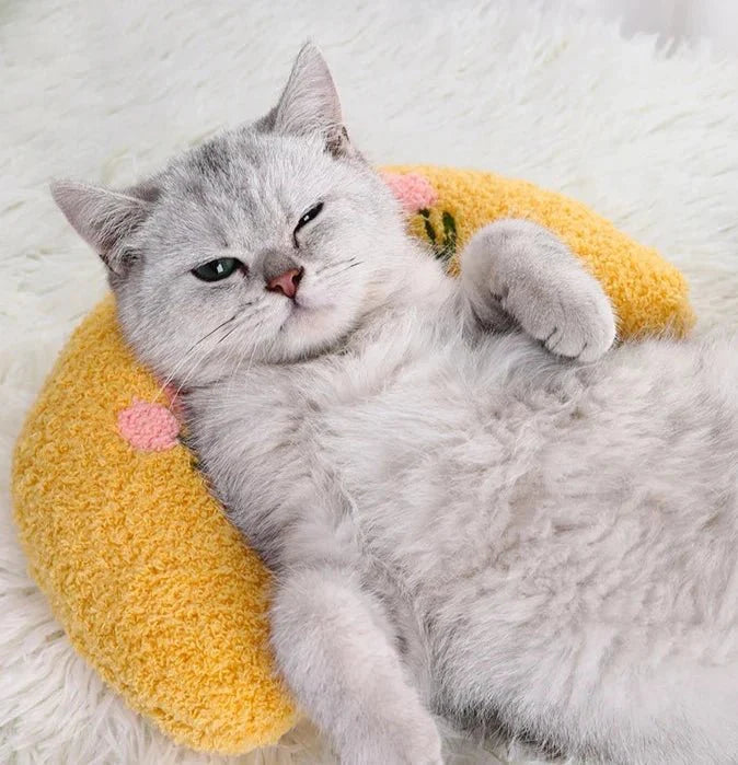 Oreiller Doux Calin Et Confort Pour Chat
