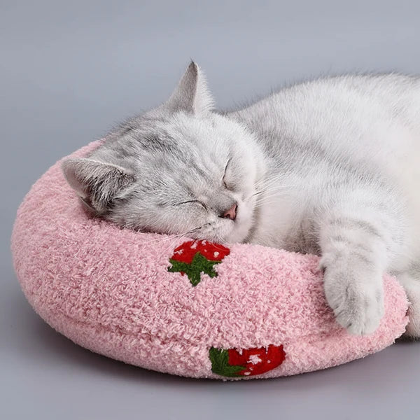 Oreiller Doux Calin Et Confort Pour Chat