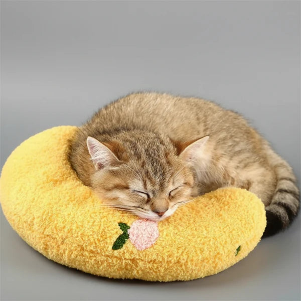 Oreiller Doux Calin Et Confort Pour Chat