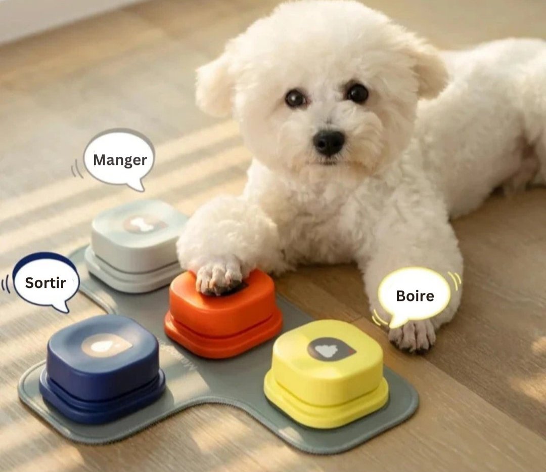 Jouet d'apprentissage vocal pour chien