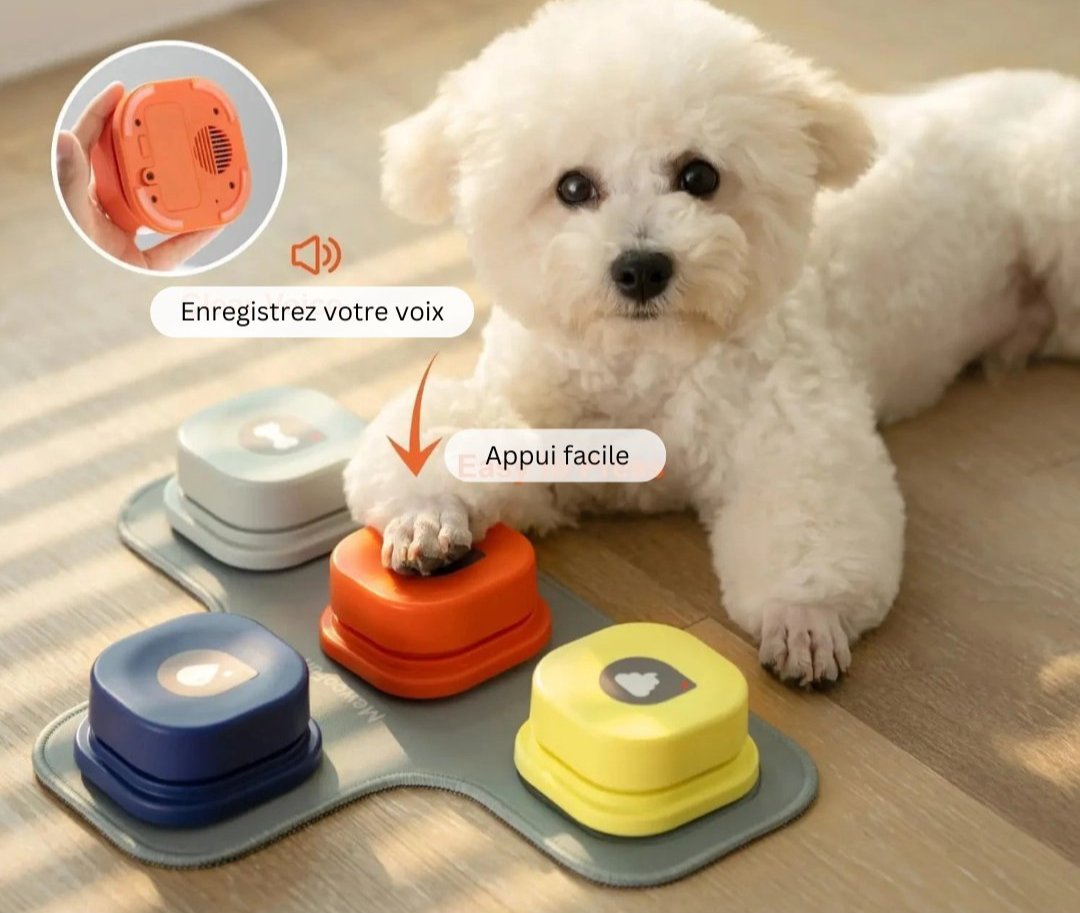 Jouet d'apprentissage vocal pour chien